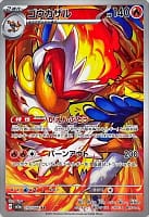 54790