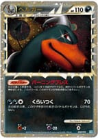 45647