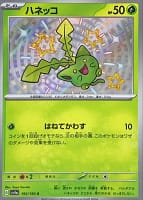 50924