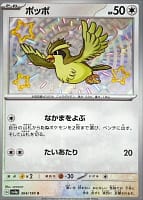 51033