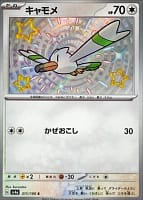 51040