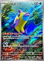 59556