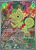 60243