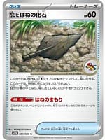 67076