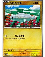 67206
