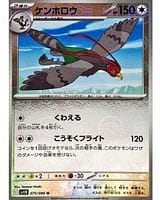 67244