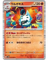 66928