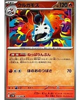 67193
