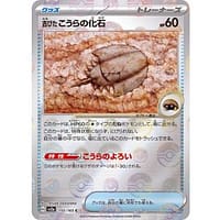 43649s