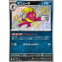51019s