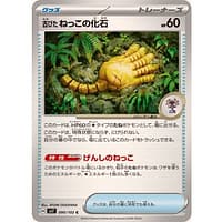 58055c