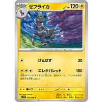 67024s