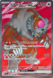 54804