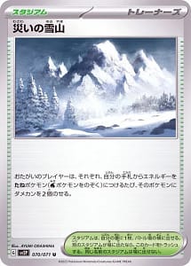 41202