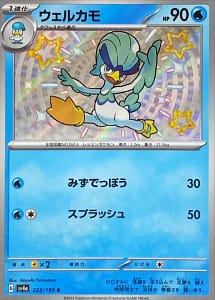 50954