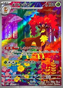 53304