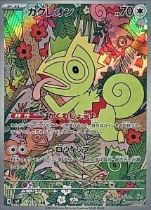 60243