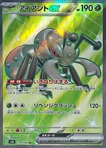 60244