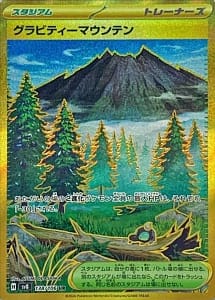 60263
