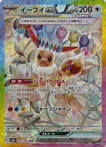 62024