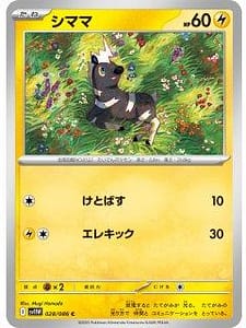 67023
