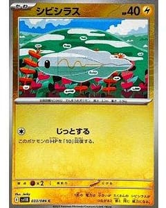 67206