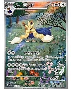 67564