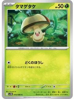66919