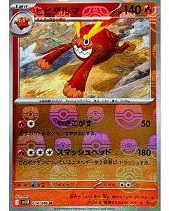 67116