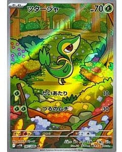 67256