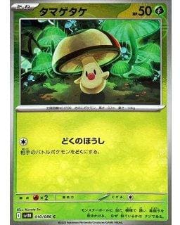 67184