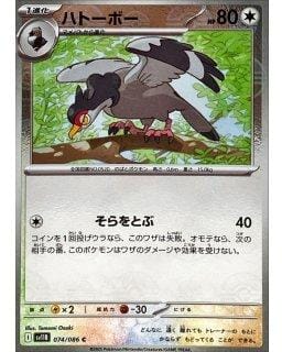67243