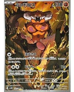 67306