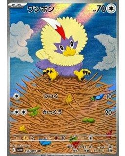 67565