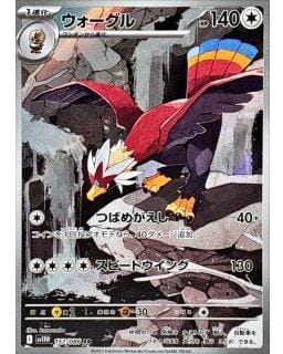 67566