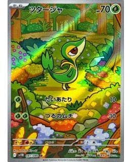 67256