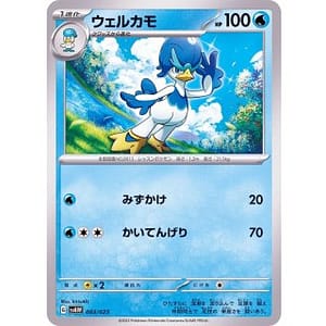 39398s