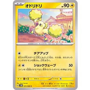 49229c