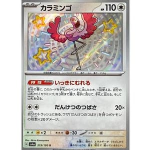 51048s