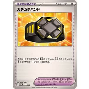 53091s