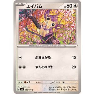 55561c