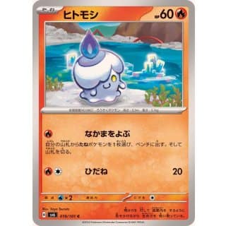 55494c