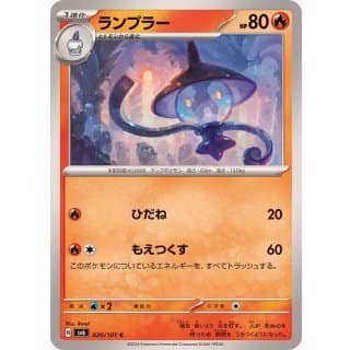 55495b