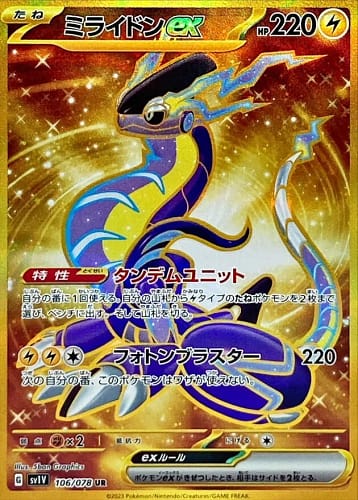 39557