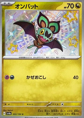 51031