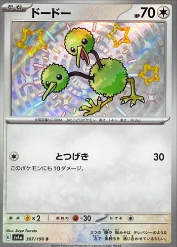 51036
