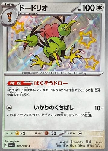51037