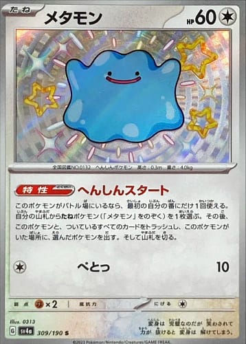 51038
