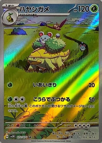 53273