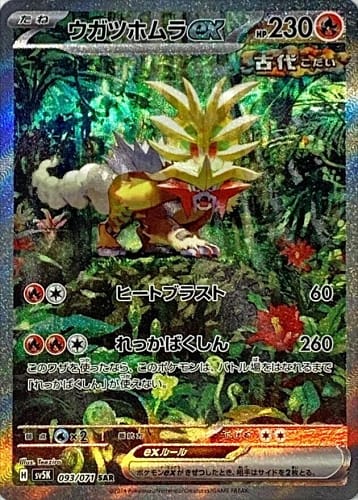 53294